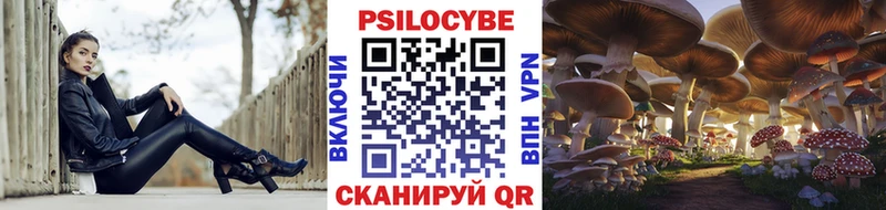 магазин продажи наркотиков  Волчанск  Галлюциногенные грибы Cubensis 
